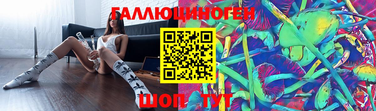Галлюциногенные грибы MAGIC MUSHROOMS  Вход с VPN  закладки  Галлюциногенные грибы GOLDEN TEACHER  Сунжа 