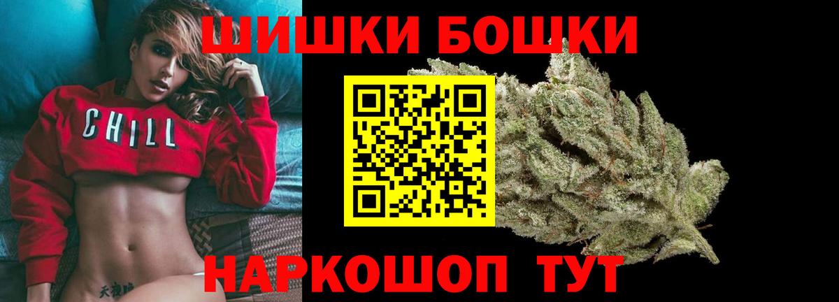 Бошки Шишки планчик Сунжа